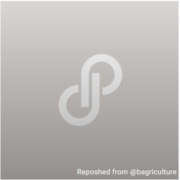 LOUIS VUITTON MURAKAMI CONTINENTAL LONG WALLET/Booklet & Card! - Picture 13 of 13